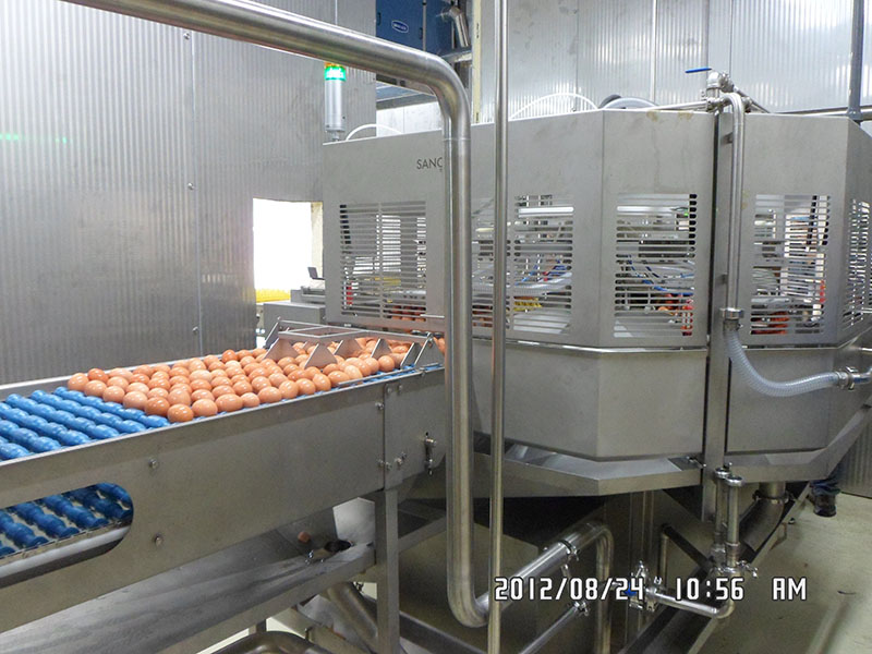 Dongguan Food Material Processing: Automated System插图2